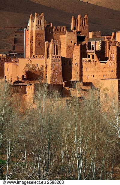 Alte Kasbahs in dem Tal  Marokko Dades
