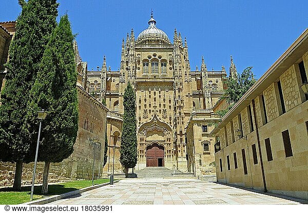 Alte Kathedrale  Castilla y  und  Salamanca  Kastilien-Leon  Spanien  Europa