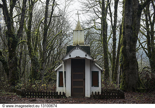 Alte Kirche im Wald