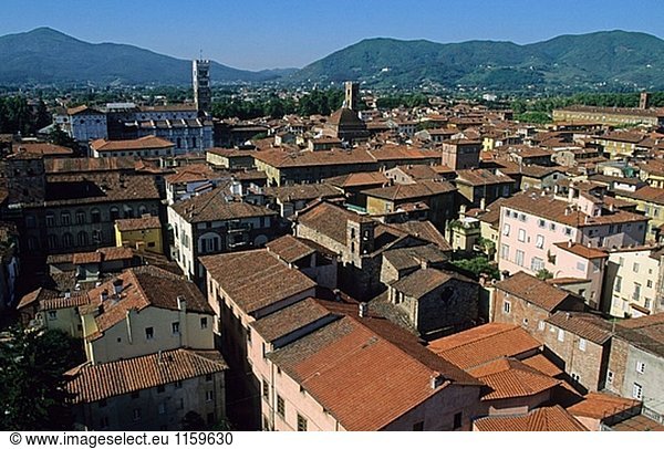 Alte Lucca von Guinigi-Turm gesehen. Toskana  Italien