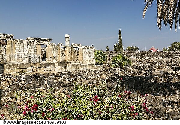 Alte Ruinen der Weißen Synagoge und des antiken Kapernaum  Region See Genezareth  Israel.