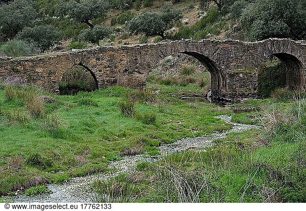 Alte Steinbrücke in Extremadura