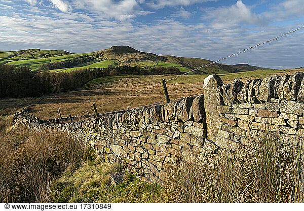 Alte Steinmauer mit dem Peak of Shutlingsloe  in der Nähe von Wildboarclough  Peak District National Park  Cheshire  England  Vereinigtes Königreich  Europa
