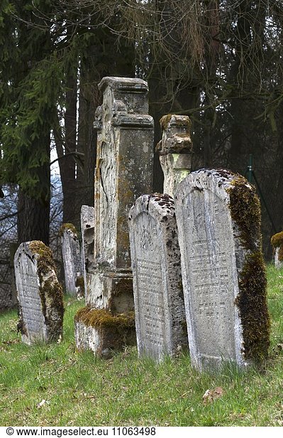 Alte  verfallene Grabsteine  jüdischer Friedhof in Ermreuth  Oberfranken  Bayern  Deutschland  Europa