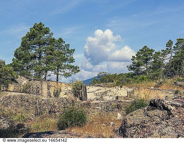 Alter Steinbruch für Granit und Koniferen in Cadalso de los Vidrios. Madrid. Spanien. Europa.