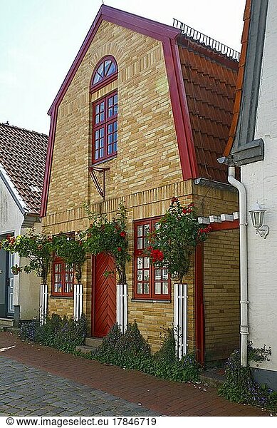 Altes Fischerhaus  Historische Fischersiedlung Holm  Schleswig  Schleswig-Holstein  Deutschland  Europa