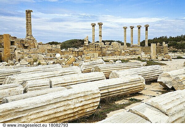 Altes Forum  Ruinenstadt Leptis Magna  Libyen  Afrika