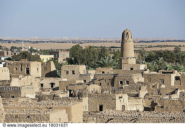 Altstadt Al Qasr  Dakhla Oase  Libysche Wüste  El Qasr  Ägypten  Afrika