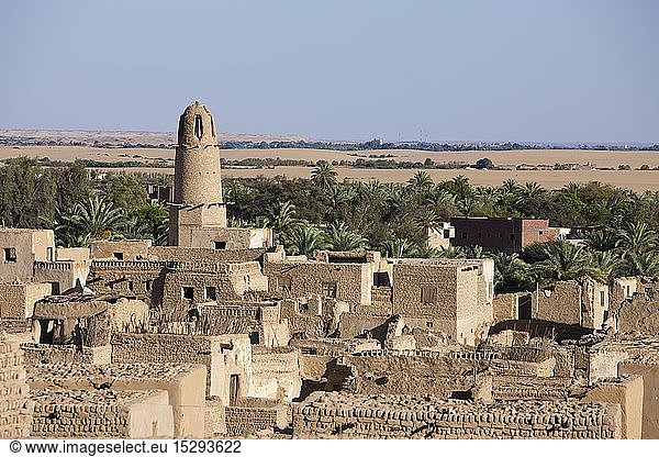 Altstadt Al Qasr in Dakhla Oase  Libysche Wueste  Aegypten