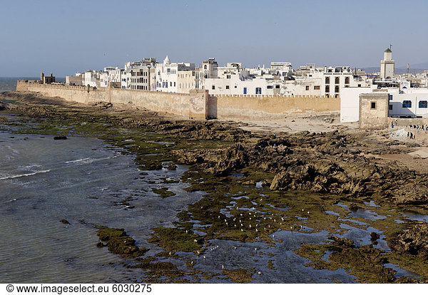 Altstadt am Wasser hinter Wällen  Essaouira  historische Stadt Mogador  Marokko  Nordafrika  Afrika