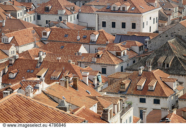 Altstadt  Dubrovnik  Republik Kroatien  Europa