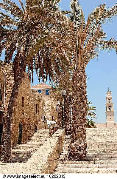Altstadt  Jaffa  Israel