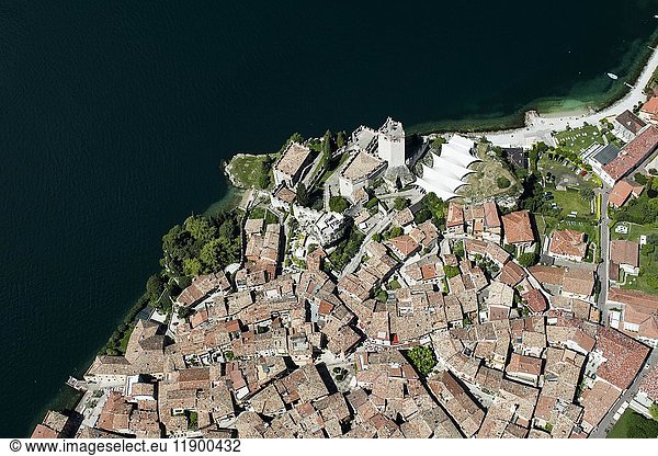 Altstadt mit Burg von Malcesine am Gardasee  Luftaufnahme  Venetien  Italien  Europa