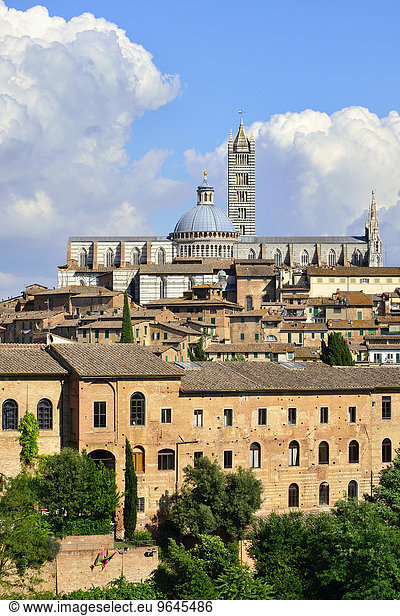 Altstadt mit dem Dom von Siena  Cattedrale di Santa Maria Assunta  Siena  Provinz Siena  Toskana  Italien  Europa