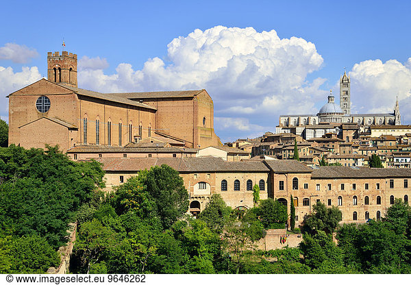 Altstadt mit der Basilica di San Domenico und dem Dom von Siena  Cattedrale di Santa Maria Assunta  Siena  Provinz Siena  Toskana  Italien  Europa