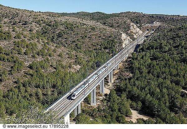 Alvia high-speed train of RENFE on the route Madrid  Barcelona near Roda de Bera  Spain  Europe