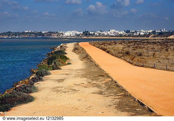 Alvor city is located in the middle of estuary of Alvor river - Ria de Alvor  staging post for thousands of migrating birds  estuarine ecosystem is rich in numerous animals  plants and insects  its importance to wildlife  both resident and migrant  has been recognised by its designation as a Natura 2000 site - special environmental and conservation protection at the European level  here trail in estuary  in background Alvor old town  Faro district  Algarve  Portugal  Europe