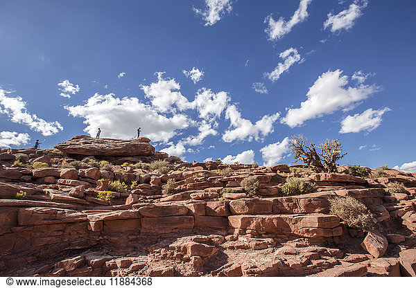 Am Eagle Point im West Grand Canyon erklimmen Touristen die steilen Bergketten  um von der Spitze dieses Aussichtswanderweges aus großartige Aussichten und Fotomöglichkeiten zu haben; Arizona  Vereinigte Staaten von Amerika'.