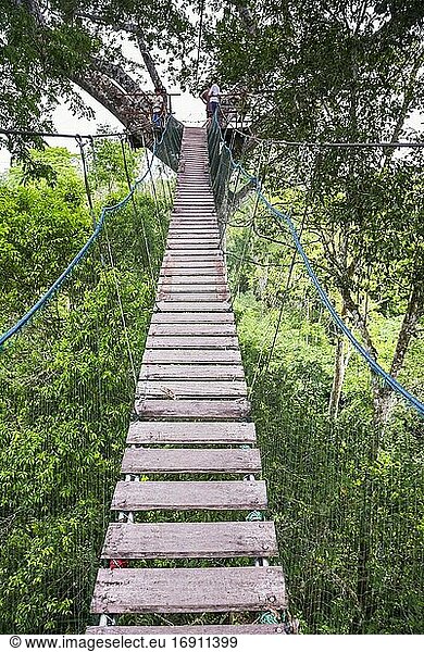 Amazonas-Dschungel-Hängebrücke im Gebiet von Puerto Maldonado in Peru