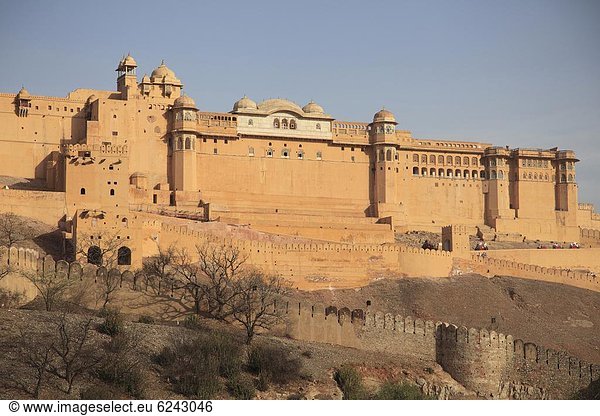 Amber Fort Palace  Jaipur  Rajasthan  Indien  Asien