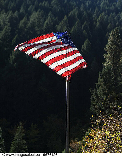 American flag.