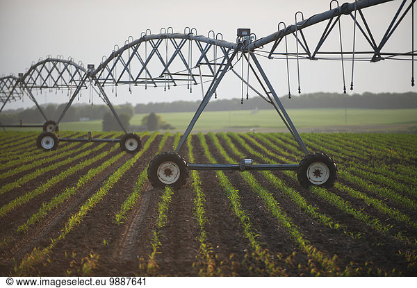 Amerika Agrarland Verbindung Bewässerung