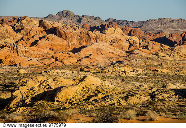 Amerika über Tal Anordnung Feuer Nordamerika Nevada Ansicht Verbindung Sandstein
