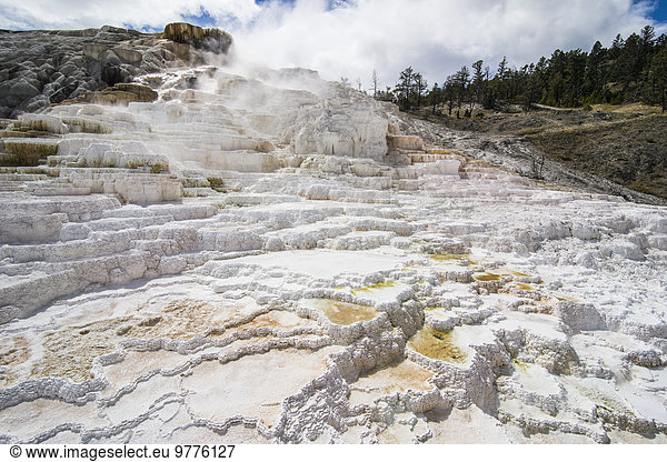 Amerika Heiße Quelle Nordamerika Verbindung Veranda UNESCO-Welterbe Travertin Yellowstone Nationalpark Mammut Wyoming