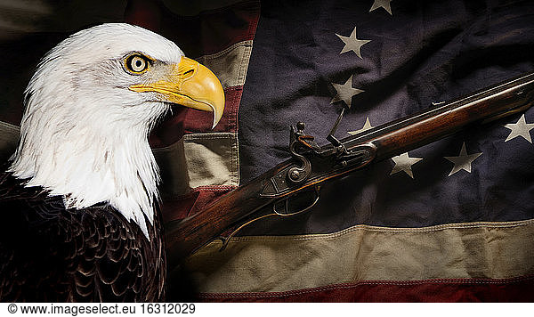 Amerikanischer Adler mit amerikanischer Flagge und revolutionärem Kriegsgewehr