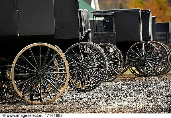 Amische überdachte Buggy-Transportwagen  die auf einem Markt in Sugarcreek und Millersburg Ohio OH abgestellt sind.