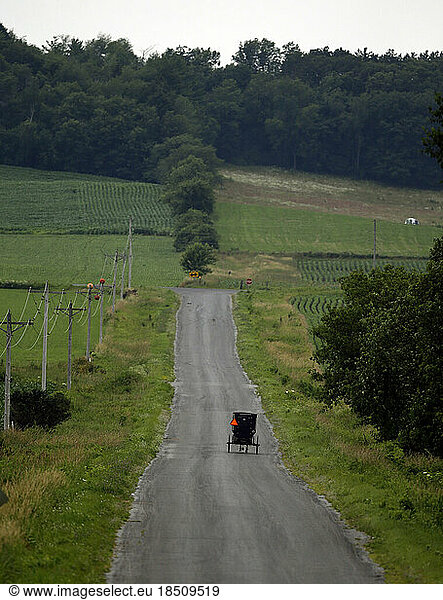 Amish buggy on road in Wisconsin.