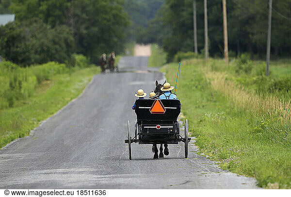 Amish buggy on road in Wisconsin.