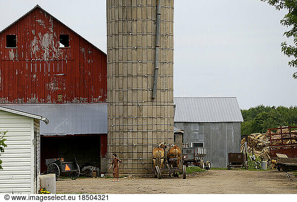 Amish girl on farm in Wisconsin.