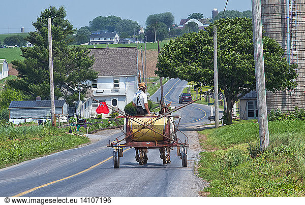 Amish Man in Old Fashioned Horse Carriage