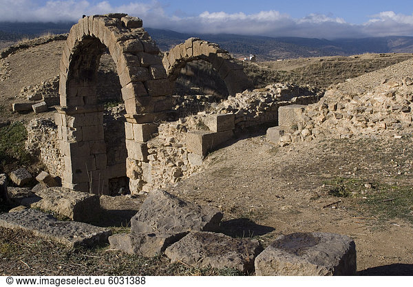 Amphitheater  römische Ruinen  Kastell Lambaesis  Algerien  Nordafrika  Afrika