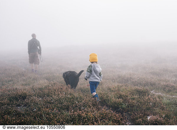 An adult and a child with a dog  walking through heather in autumn mist.