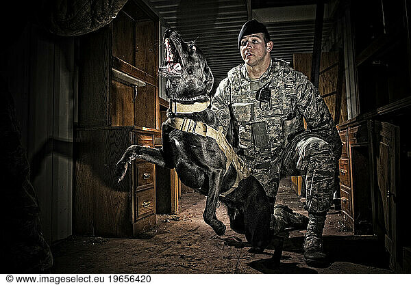 An Air Force Security Forces K-9 handler  and his military working dog  track an armed assailant into a trailer home and prepare to take the perpetrator down by force.