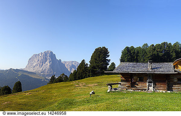 An alpine refuge at Col Raiser  in the background the Sassolungo and Sassopiatto at Sella Pass  Puez-Geisler Nature Park  Dolomites  Trentino Alto Adige  Italy