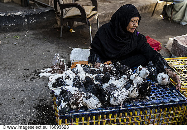 An Egyptian woman sells pigeons to eat