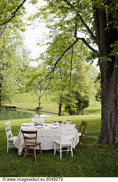 An elegant table setting  under a large tree in the garden.