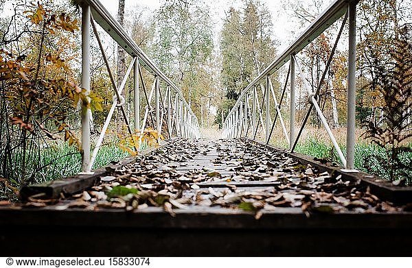 an empty bridge leading to a forest covered in leaves in fall