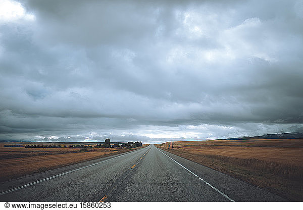 An empty road fading off into the horizon is surrounded by fields.