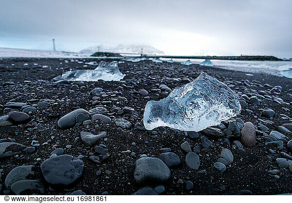 An iceberg chunk on black sand Diamond Beach in Iceland during winter
