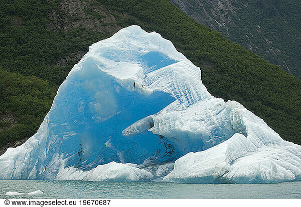 An iceberg floating in the water in Tracy Arm near Juneau  Alaska.