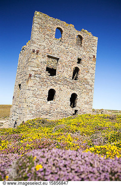 An old abandoned tin mine on moorland above St Agnes  Cornwall  UK.
