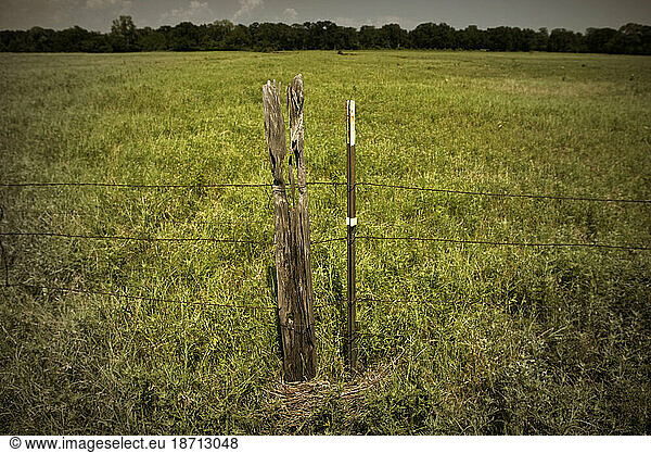 An old railroad tie still holds the barbed wire  but a new stronger metal fence post is used to strengthen the fence line of this pasture.