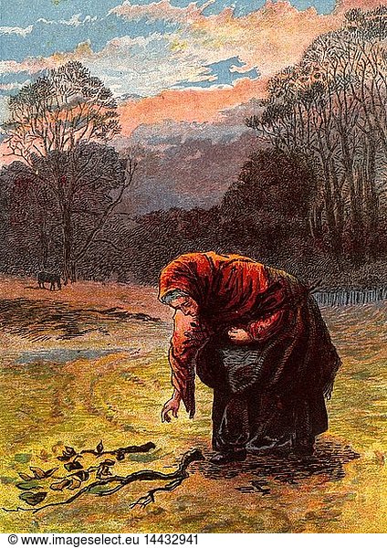An old woman in a shawl bending stiffly to collect firewood. Kronheim chromolithograph from "Pictures from Nature" by Mary Howitt (London  1869).