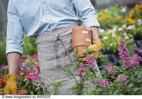 An organic flower plant nursery. A man carrying plant pots.