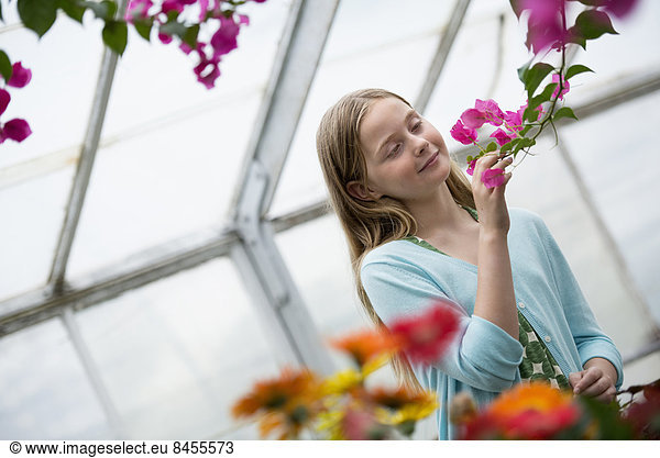 An organic flower plant nursery. A young girl looking at the flowers.