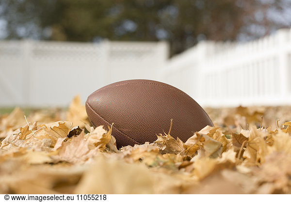 An oval football on the ground among autumn leaves.